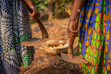 Close-up of the hands of two African women holding two hoes with a basket with the harvest of the...