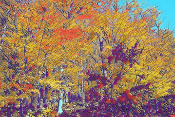 A painted image of autumn trees shining bright in the sunlight.  The image is in the style of a modern impressionist.  