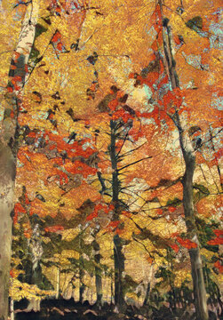 A painted image of trees during autumn, in the art style of Woodblock Ink print. 