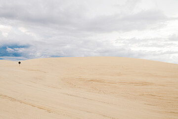 Sand dunes in Jericoacoara Ceará Brazil..Tourist and paradisiacal place with clean and beautiful skies..Vacation concept. Travel concept. Copy space.