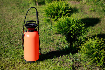 Fertilizer sprayer and a row of thujas on green lawn. Seasonal garden work concept. - obrazy, fototapety, plakaty