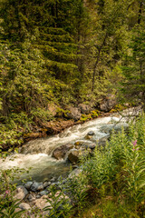 Fototapeta na wymiar Roadside creek Banff Windermer HWY Kootenay National Park British Columbia Canada