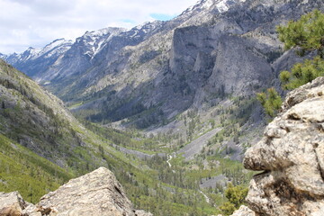 Montana Mountain Hike #1