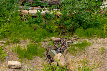 Illecillewaet Valley Trail Glacier National Park British Columbia Canada