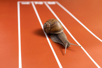 Fun training of snail on stadium track