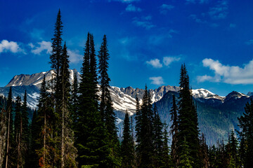 Obraz premium Summit of Rogers Pass Glacier National Park British Columbia Canada