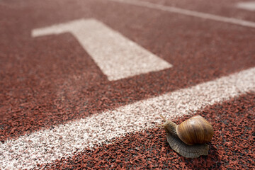 Fun training of snail on stadium track