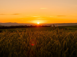 Malvern Hills in the background, shot from Sudeley Hill