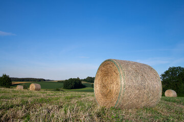 Freshly rolled up bales of hay are laid out on the grass between rolling green hills. The sky is blue.