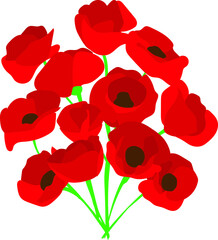 Vector flat illustration of poppies isolated on a white background. Each flower is on a separate layer. Bouquet of poppies