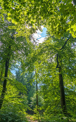 Schloss Rosendael, Niederlande