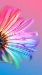 Rainbow Daisy Petals, Macro, Summer Bright Pastel Colorful Background