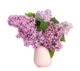 Beautiful lilac flowers in vase on white background