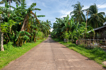 Fototapeta premium Dirt Jungle Road Through Palm Trees on Camiguin Island, Philippines