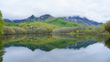 Fototapeta na wymiar 新緑の若葉に囲まれた春の鏡池の情景＠戸隠、長野