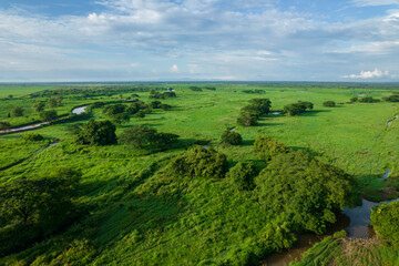 Obraz premium Green landscapes of honduras