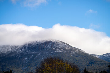 mount wellington, the mountain national park over looking Hobart, Tasmania, Australia 