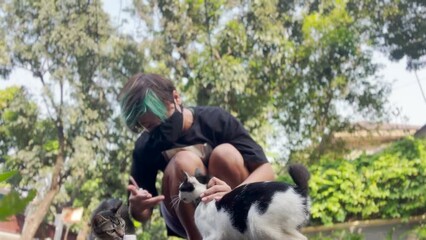 Asian Cat Lady Looking After Street Cats Giving Liquid Medicines