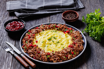 Reindeer Stew with Lingonberries and potato puree