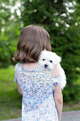 A girl in a summer dress holds a Maltese lapdog puppy in her arms in the park. Cute communication...