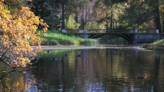 Scenic view of autumn park in St. Petersburg with a pond and an old stone bridge. Fall natural background