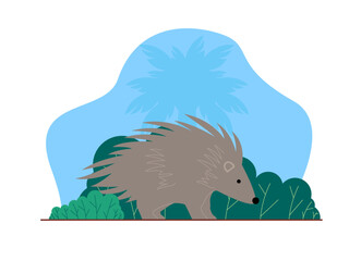 Hedegehog in jungle. Animal and jungle theme. Jungle vector illustration.  