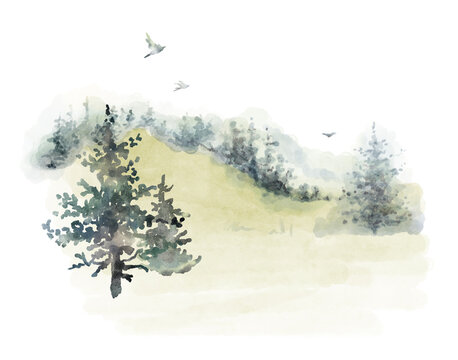 Watercolor hand drawn forest delicate illustration of coniferous trees spruce, pine, fir, foggy landscapes, silhouette, birds. Compositions isolated on white background. Woodland simple beautiful card