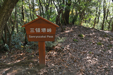 九千部山登山「三領堺峠」