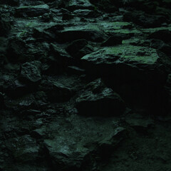 underwater scene in the aquarium