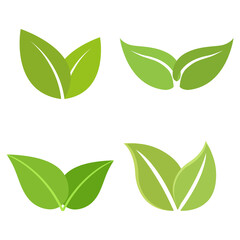 Illustration set of varied green leaves on a white background