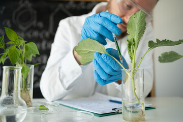 Male microbiologist looking at a healthy green plant in a sample flask. Medical scientist working...