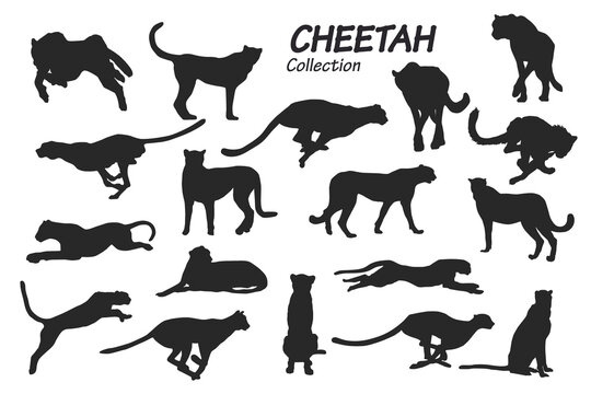 cheetah silhouettes
