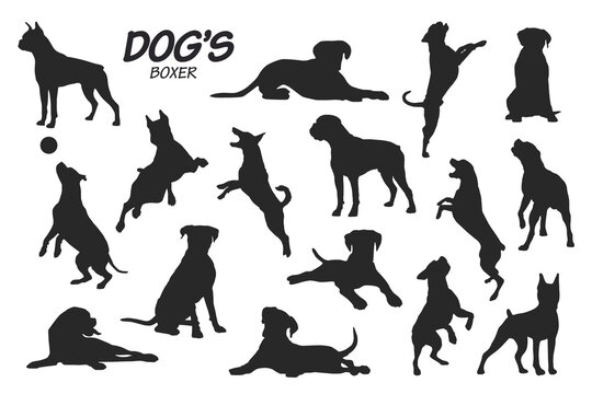 boxer dog silhouettes