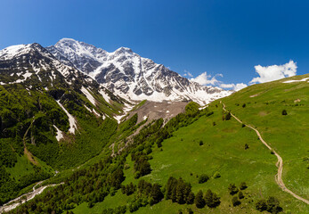 Alpine meadow landscape in summer. Rhododendron flowers in mountains. Elbrus mountain region. Spring flowers blossoms in the mountains.  Alpine climbing and hiking. Sunrise in the mountains.