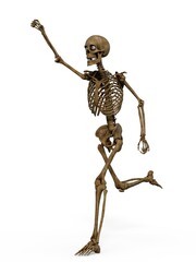 3d-illustration of an isolated fantasy skeleton winning a race