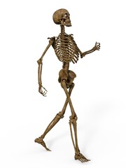 3d-illustration of an isolated fantasy skeleton marching