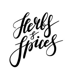 Vector frame with spices and seasonings. Different herbs, pepper and coriander with lettering lettering.