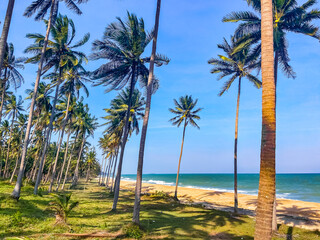 Obraz premium Hat Thang Sai Beach in Prachuap Khiri Khan, Thailand