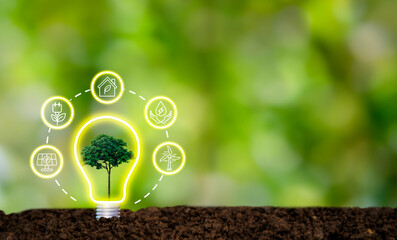 Lightbulb with small growing seedlings on soil  with technology icons  energy sources for...