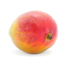 Mango fruit isolated.