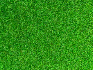 Green grass texture background grass garden  concept used for making green background football pitch, Grass Golf,  green lawn pattern textured background.