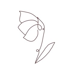 Flower One Continuous Line