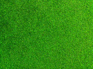 Naklejka na ściany i meble Green grass texture background grass garden concept used for making green background football pitch, Grass Golf, green lawn pattern textured background.