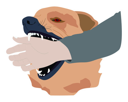 illustration of animal and medication, dog bites human hand, The dangers of animal bites to the finger, A bite from an animal with rabies
