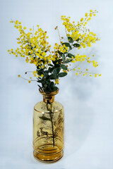 Wattle blossom in an amber glass vase on white.
