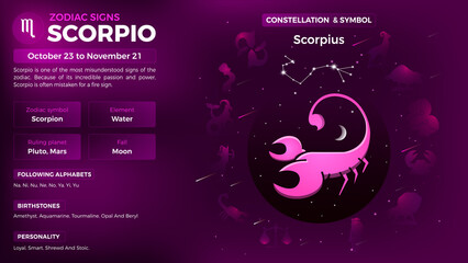 Scorpio Zodiac Sign-Personality traits and Characteristics vector illustration