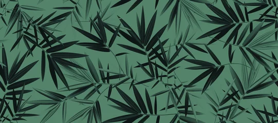 Deurstickers Luxury bamboo leaves background vector. Floral pattern, Tropical leaf with line art, Jungle plants, Exotic leaf pattern. Vector illustration. © andrei