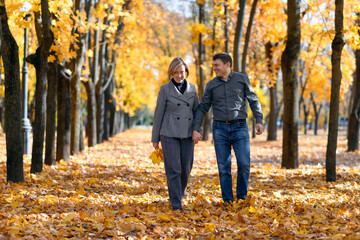 portrait of a romantic couple in an autumn city park, a man and a woman walking and posing against...