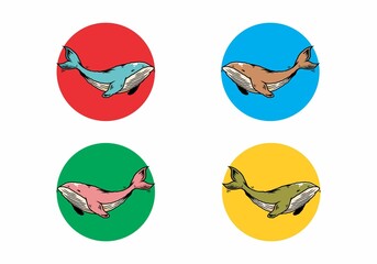 The big whale of ocean illustration