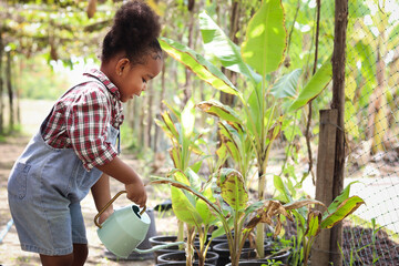 Happy African girl with black curly hair watering plant, gardener kid working in agriculture or...